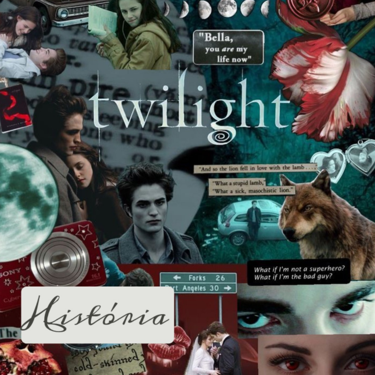 Crepúsculo🌙