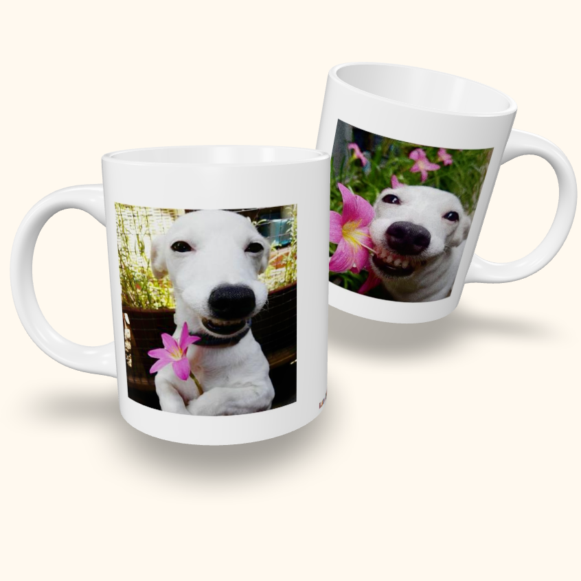 Caneca de Cerâmica Memes - Cachorro com flor